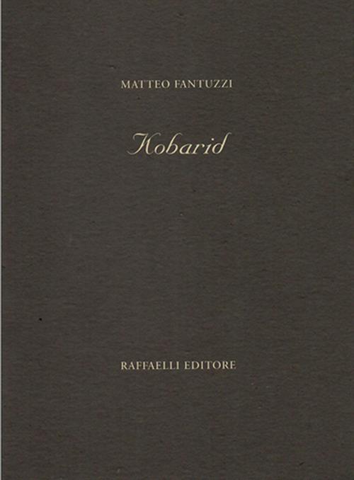 Kobarid - Matteo Fantuzzi - copertina