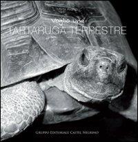Voglio una tartaruga terrestre - Marta Avanzi - copertina