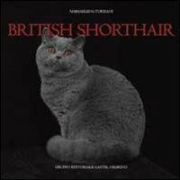British shorthair - Mariaelena Turisani - copertina