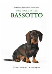 Libreria Postumia
