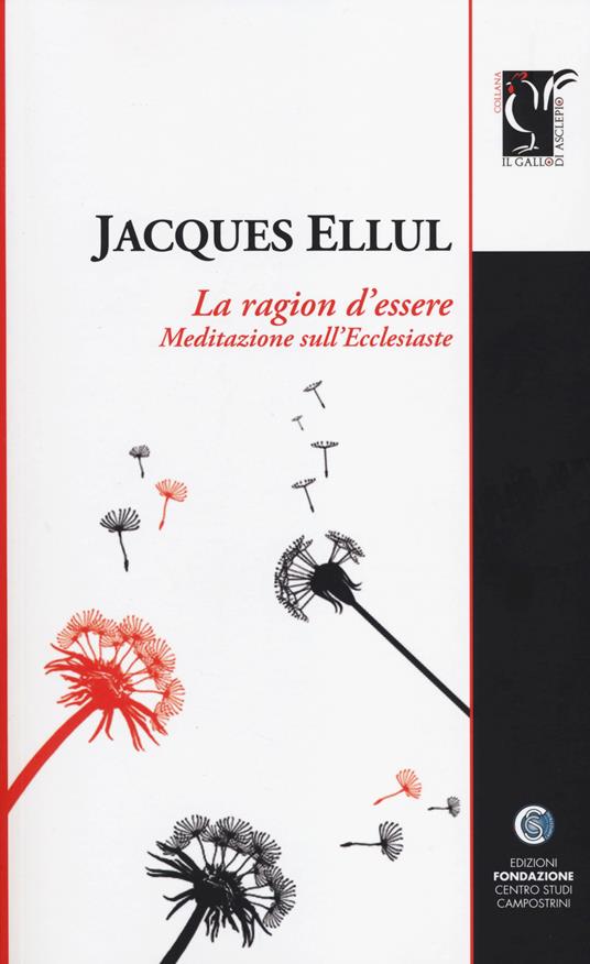 La ragione d'essere. Meditazioni sull'Ecclesiaste - Jacques Ellul - copertina