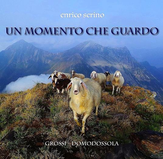 Un momento che guardo. Scorci d'avventura in un'alpina commedia a favor di natura. Ediz. illustrata - Enrico Serino - copertina