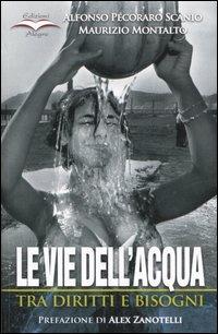 Le vie dell'acqua. Tra diritti e bisogni - Alfonso Pecoraro Scanio,Maurizio Montalto - copertina