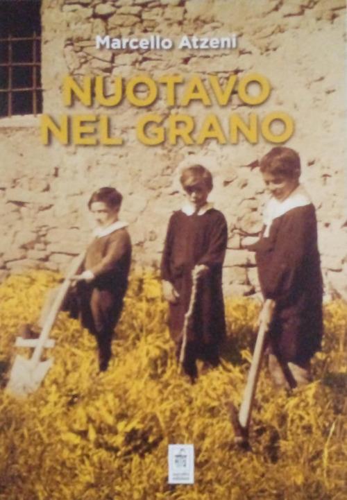 L'interpretazione dell'oroscopo in 12 lezioni - Federico Capone - copertina