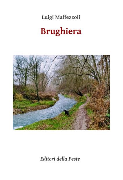 Brughiera - Luigi Maffezzoli - copertina