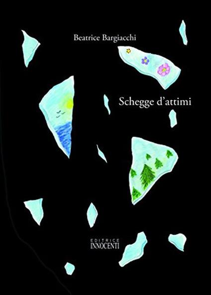 Schegge d'attimi - Beatrice Bargiacchi - copertina