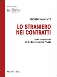 Lo straniero nei contratti - Michele Manente - copertina