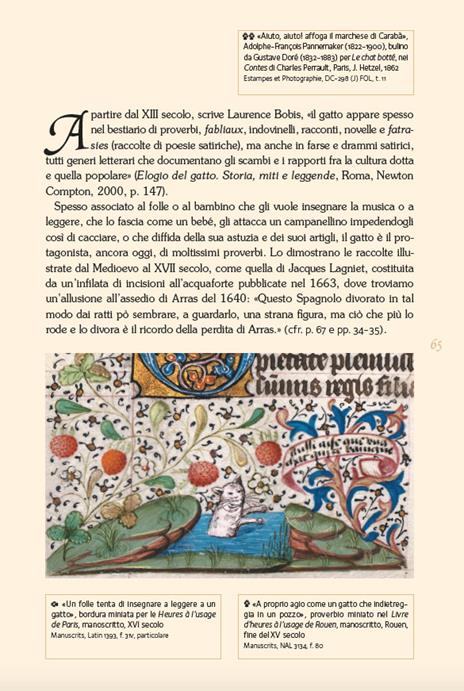 Gatti di biblioteca. Ediz. illustrata - Michèle Sacquin - 4