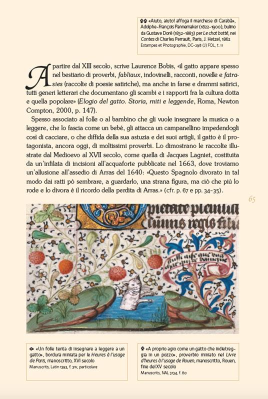 Gatti di biblioteca. Ediz. illustrata - Michèle Sacquin - 4