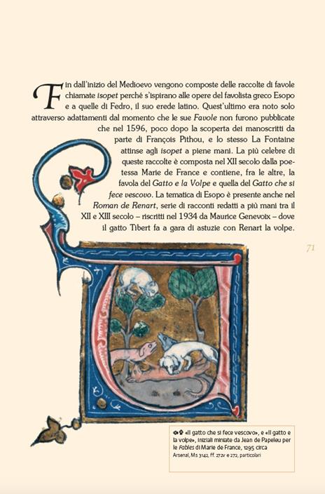 Gatti di biblioteca. Ediz. illustrata - Michèle Sacquin - 5