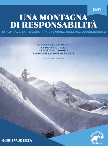 Una montagna di responsabilità - Flavio Saltarelli - copertina