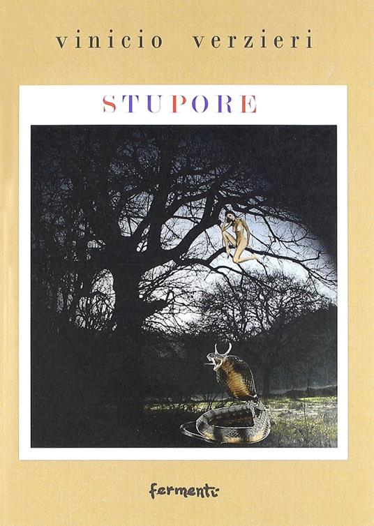 Stupore - Vinicio Verzieri - copertina