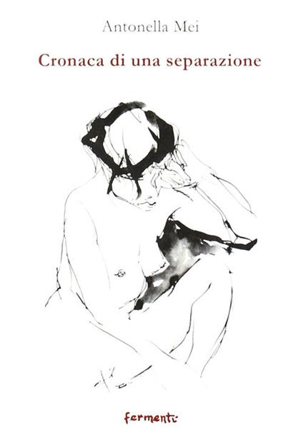 Cronaca di una separazione - Antonella Mei - copertina