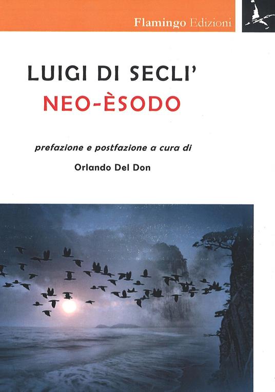 Neo-Èsodo - Luigi Di Seclì - copertina