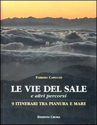 Le vie del sale. Nove itinerari tra pianura e mare - Fabrizio Capecchi - copertina