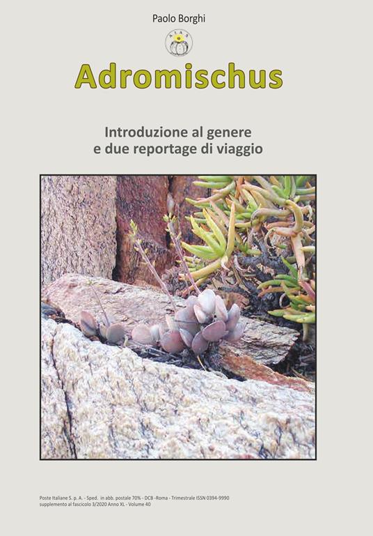 Adromischus. Introduzione al genere e due reportage di viaggio - Paolo Borghi - copertina