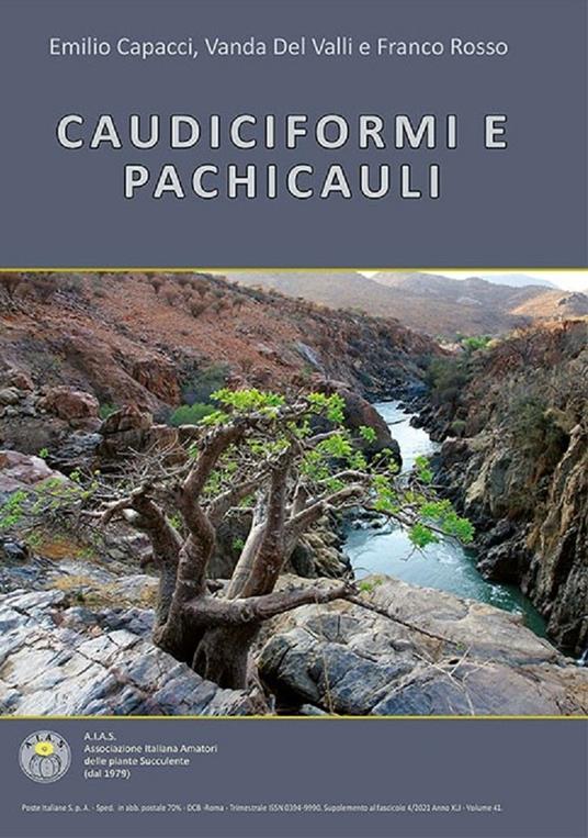 Caudiciformi e Pachicauli - Emilio Capacci,Vanda Del Valli,Franco Rosso - copertina