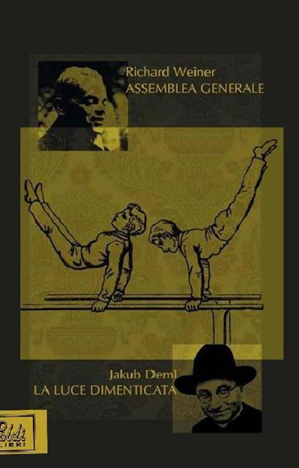 Assemblea generale. La luce dimenticata - Richard Weiner,Jakub Deml - copertina