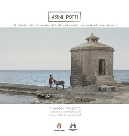 Asini dotti. Ediz. a colori - Marcello Moscara - copertina