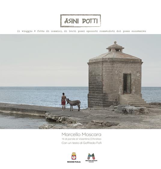 Asini dotti. Ediz. a colori - Marcello Moscara - copertina
