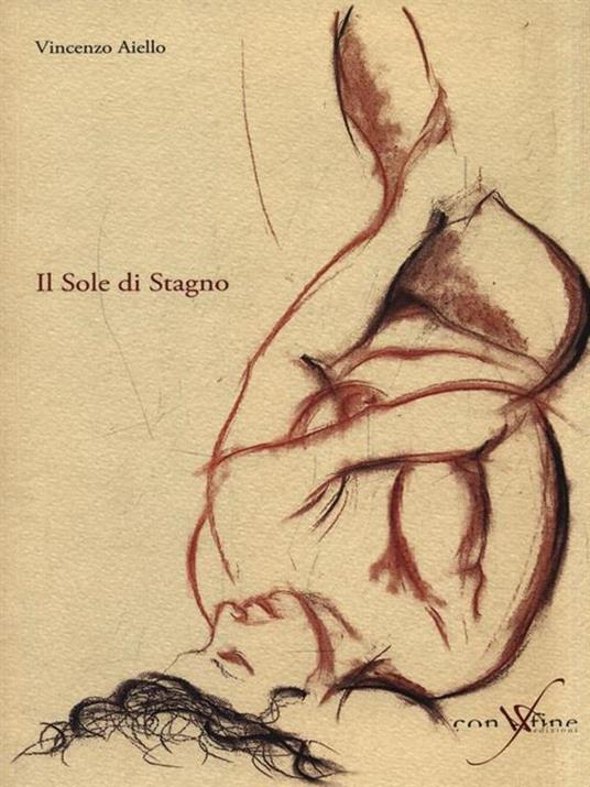 Il sole di stagno - Vincenzo Aiello - copertina