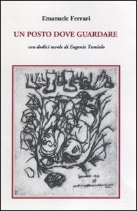 Un posto dove guardare - Emanuele Ferrari - copertina