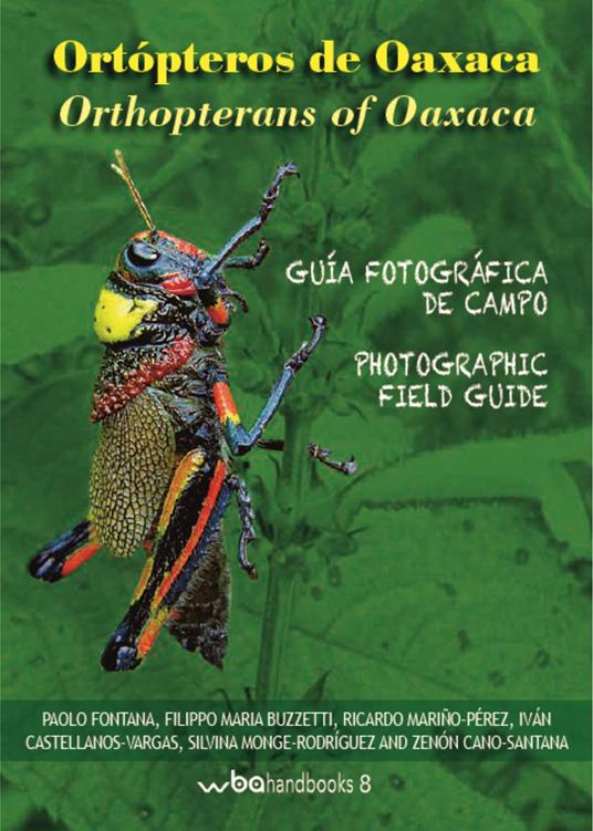 Ortopteros de Oaxaca. Fotografica de campo-Orthopterans of Oaxaca. Photographic field guide. Ediz. illustrata - copertina