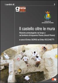 Il castello oltre le mura. Ricerche archeologiche nel borgo e nel territorio di Acquaviva Picena (Ascoli Piceno) - copertina