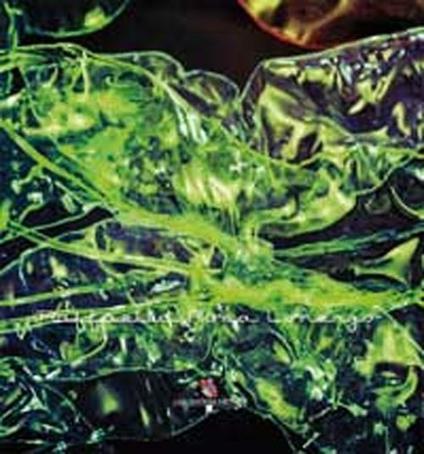 Raffaella Rosa Lorenzo. Catalogo. Ediz. illustrata - Raffaella R. Lorenzo - copertina