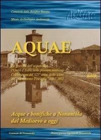 Aque. La gestione dell'acqua oltre l'unità d'Italia nella pianura emiliana. Celebrazione del 525° anno dallo scavo del «Cavamento Foscaglia» 1487.-2012 - copertina