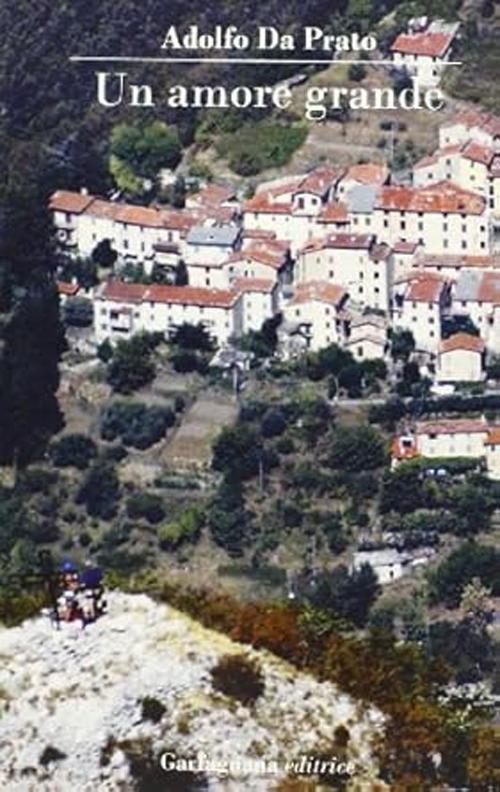 Un amore grande - Adolfo De Prato - copertina
