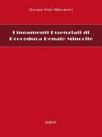 Lineamenti essenziali di procedura penale minorile