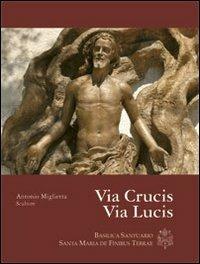 Via Crucis via lucis. Ediz. illustrata - copertina