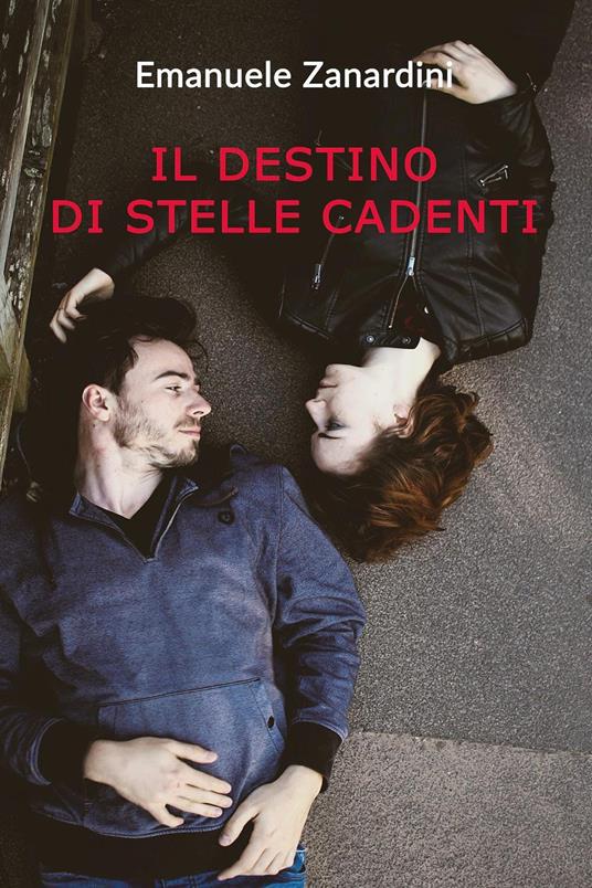 Il destino di stelle cadenti - Emanuele Zanardini - copertina