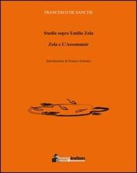 Studio sopra Emilio Zola. Zola e L'Assommoir - Francesco De Sanctis - copertina