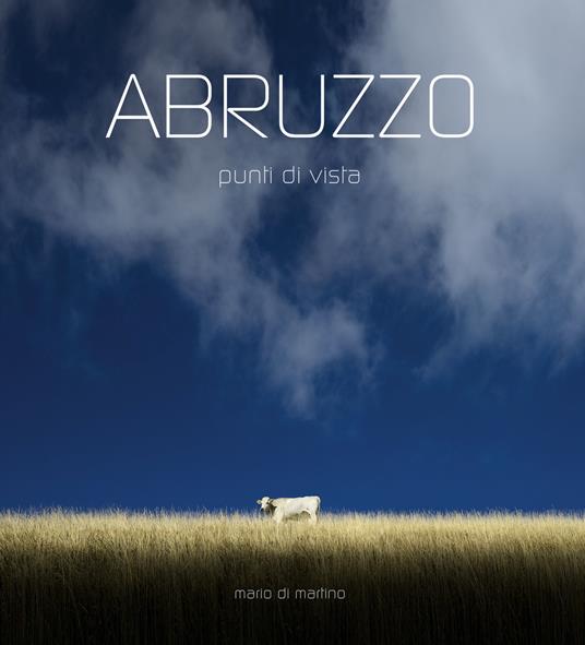 Abruzzo. Punti di vista. Ediz. italiana e inglese - Mario Di Martino - copertina