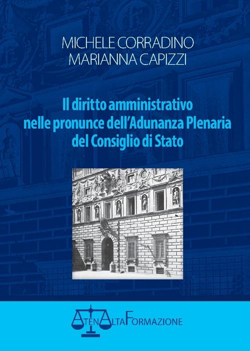 Il diritto amministrativo nelle pronunce dell'Adunanza Plenaria del Condiglio di Stato - Michele Corradino,Marianna Capizzi - copertina