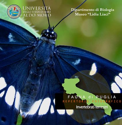Invertebrati terrestri. Fauna di Puglia. Repertorio fotografico. DVD-ROM - copertina