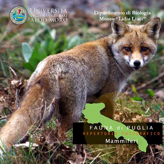 Mammiferi. Fauna di Puglia. Repertorio fotografico. DVD-ROM - copertina