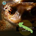 Anfibi e rettili. Fauna di Puglia. Repertorio fotografico. DVD-ROM