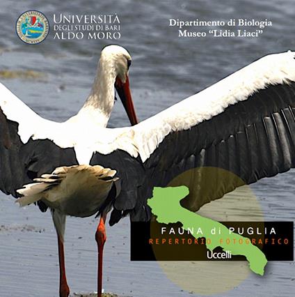 Uccelli. Fauna di Puglia. Repertorio fotografico. DVD-ROM - copertina