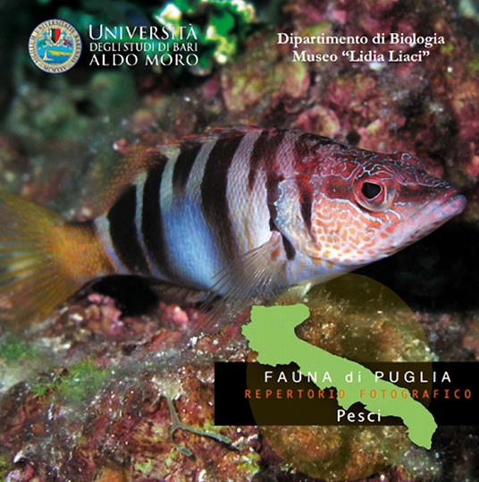 Pesci. Fauna di Puglia. Repertorio fotografico. DVD-ROM - copertina