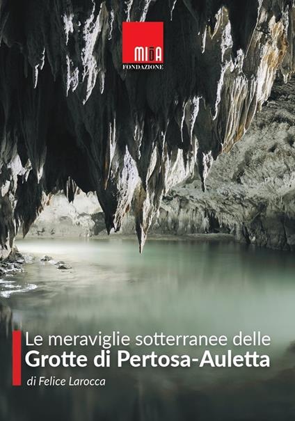 Le meraviglie sotterranee delle Grotte di Pertosa-Auletta - Felice Larocca - copertina