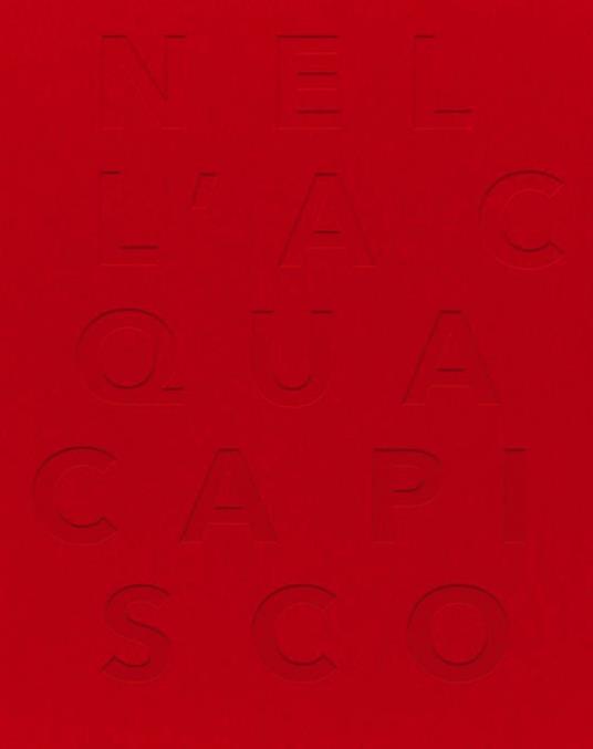 Nell'acqua capisco. Ediz. multilingue - Claudio Libero Pisano,Lea Mattarella - copertina