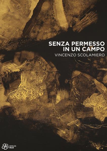 Senza permesso in un campo. Vincenzo Scolamiero - Lorenzo Canova,Antonio Mercadante - copertina