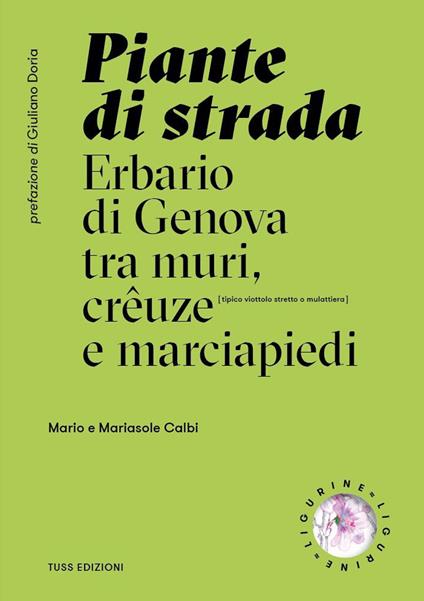 Piante di strada. Erbario di Genova tra muri, crêuze e marciapiedi. Ediz. illustrata - Mario Calbi,Calbi Mariasole - copertina
