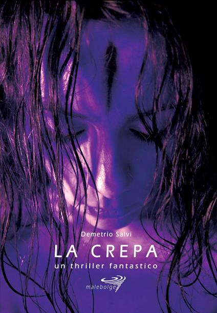 La crepa - Demetrio Salvi - copertina
