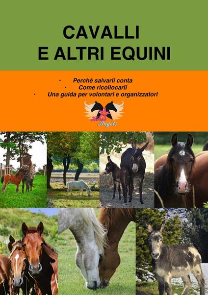 Cavalli e altri equini. Perché salvarli conta. Come ricollocarli. Una guida per volontari e organizzatori - Roberta Ravello - copertina