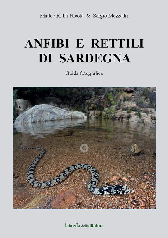 Anfibi e rettili di Sardegna. Guida fotografica - Matteo Di Nicola,Sergio Mezzadri - copertina