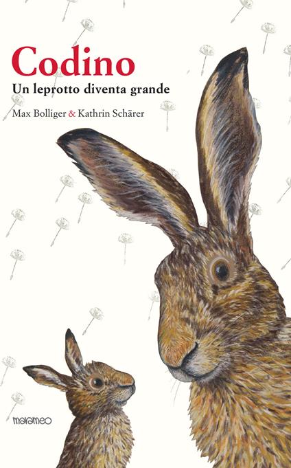 Codino. Un leprotto diventa grande - Max Bolliger - copertina